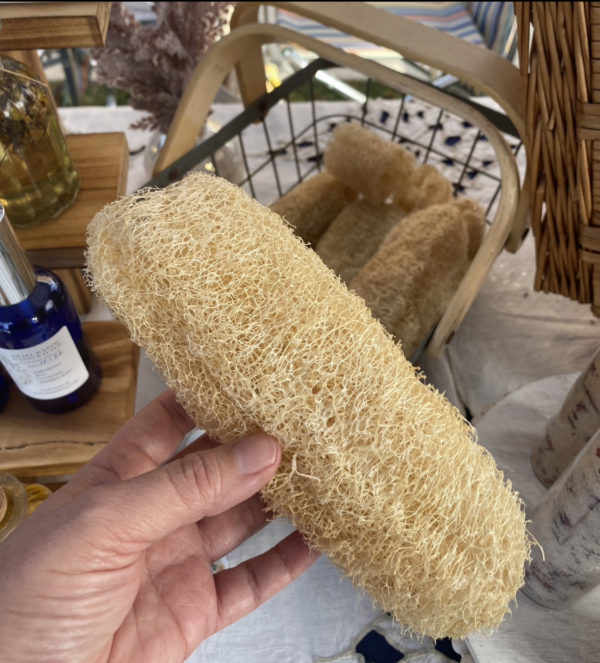 Luffa